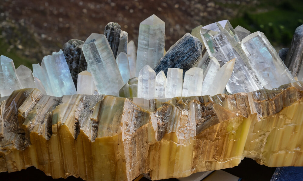 a group of lemurian crystals in a crystal bowl 