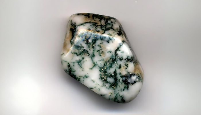 Tree agate with branching green mineral patterns on a light background