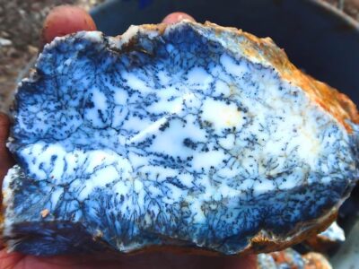 dendritic opal