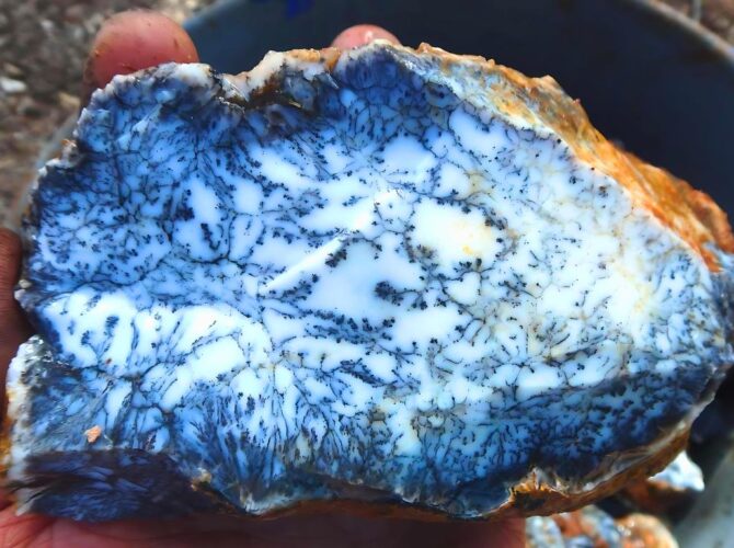 dendritic opal