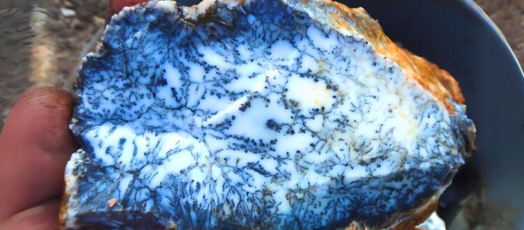 dendritic opal