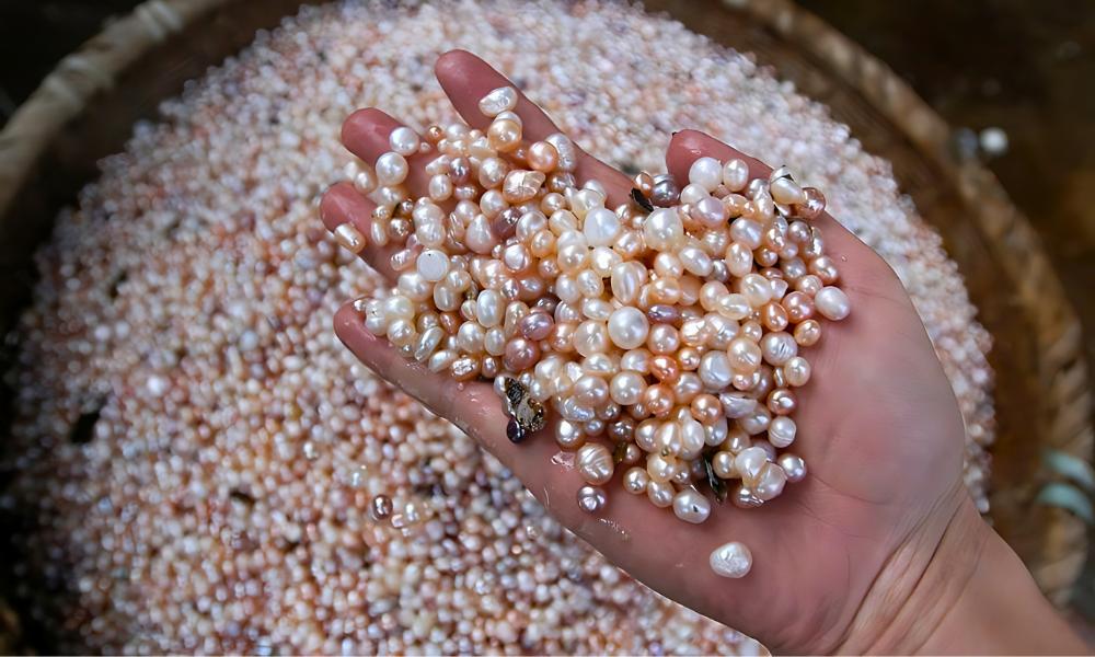 A hand holding various shiny pearl stones over a large pile of pearls.