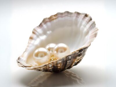 Three pearls resting inside an open seashell with a reflective surface.