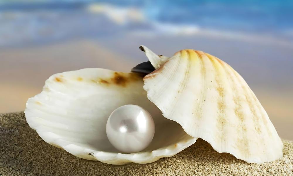 Pearl stone inside open seashell on sandy surface with blurred beach background.