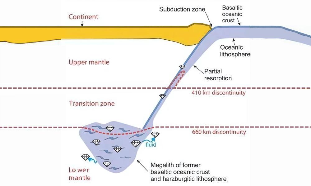 Diagram of a subduction zone with labeled layers of the Earth's crust and mantle, and fluid movement.